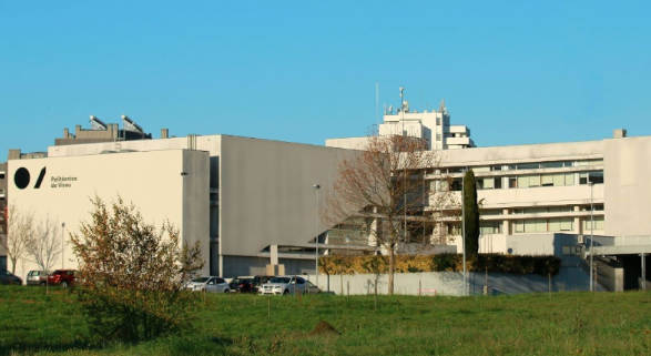 Viseu Polytechnic Institute