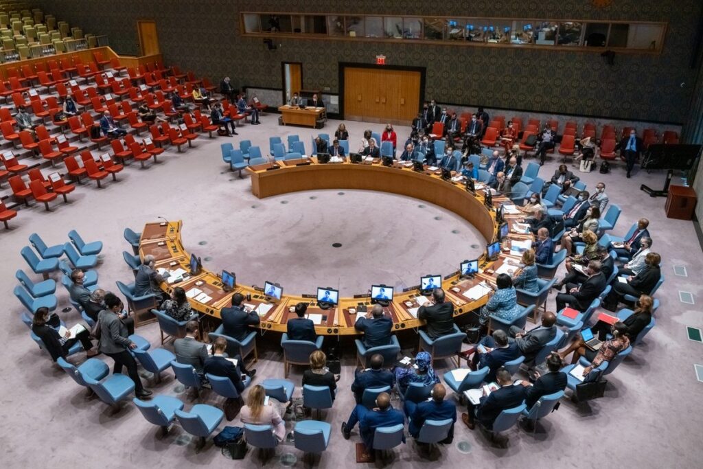 UN Security Council 1
